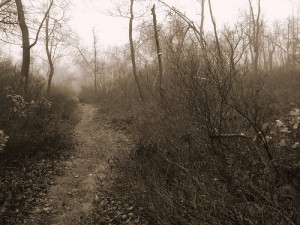 (c) http://www.apertome.com/blog/2008/11/17/pinchot-trail-north-loop/ 